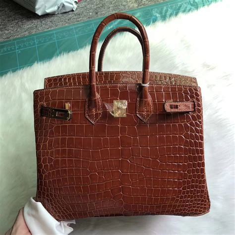 porosus hermes|Hermes crocodile.